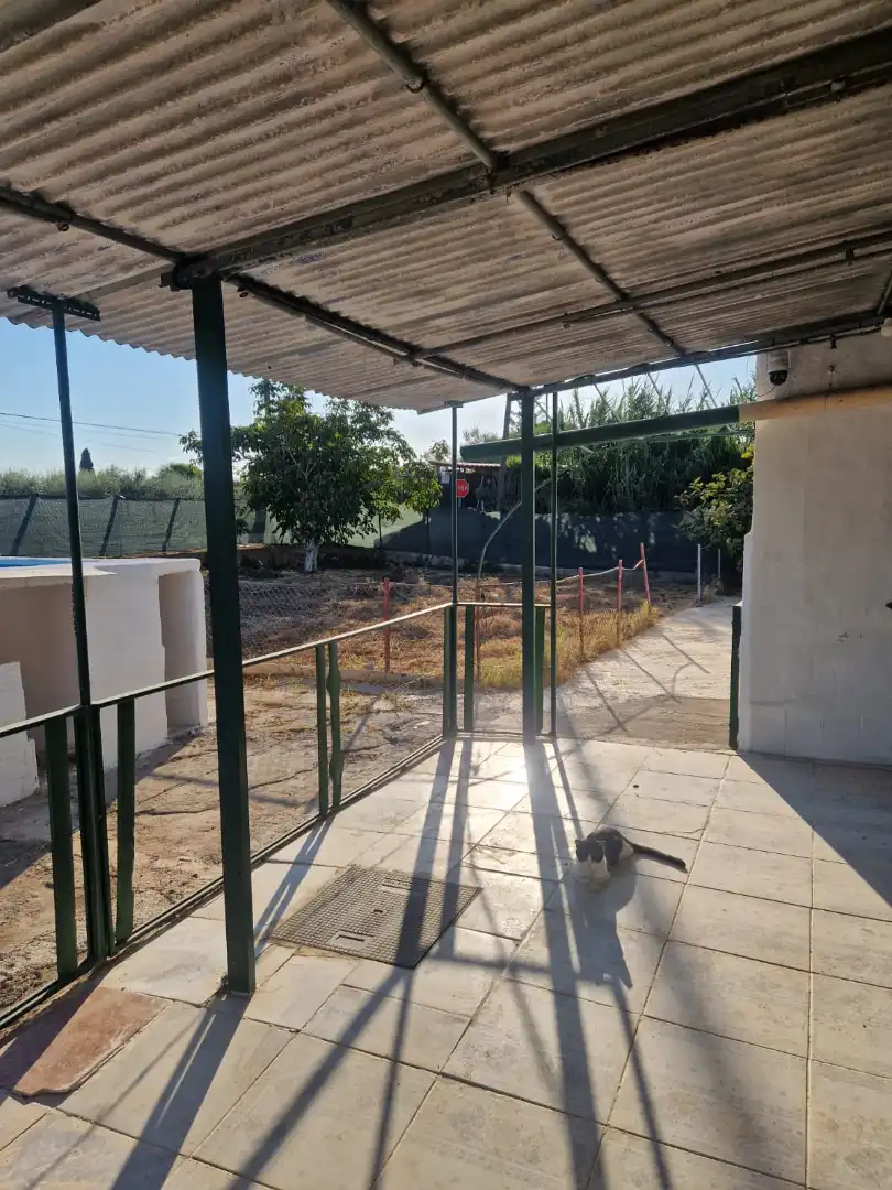 Villa mit Terrasse zum Verkauf in Camí Fondo, imagen 14