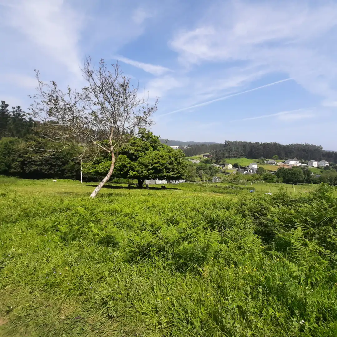 Einfamilien-Reihenhaus zum Verkauf in Viveiro