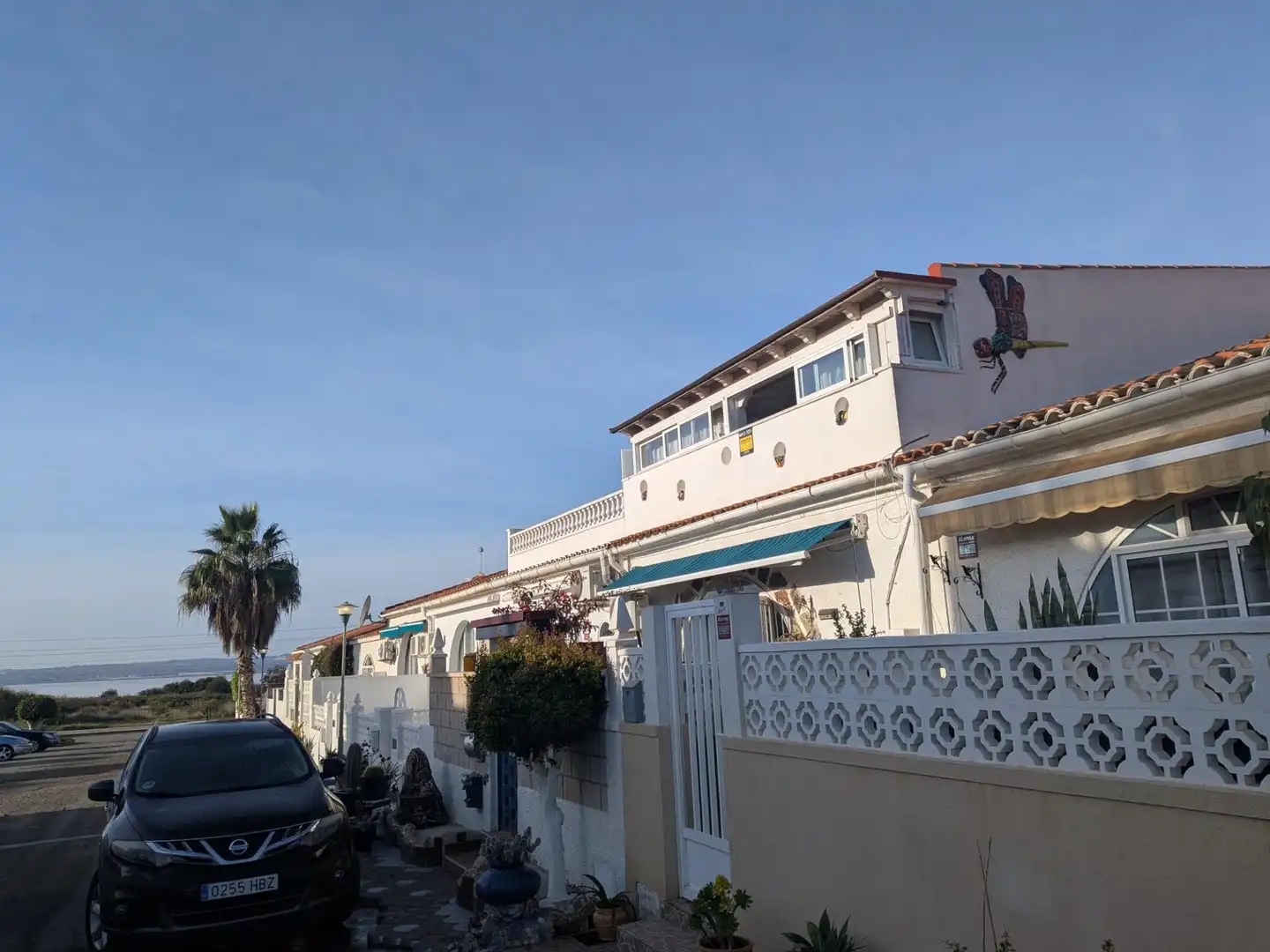 Vista exterior de Casa o chalet en venta en Torrevieja con Jardín privado y Terraza