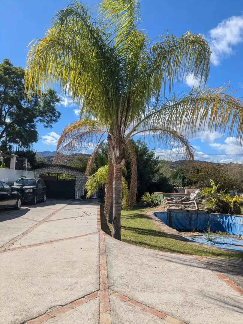 Casa o xalet en venda a Centro