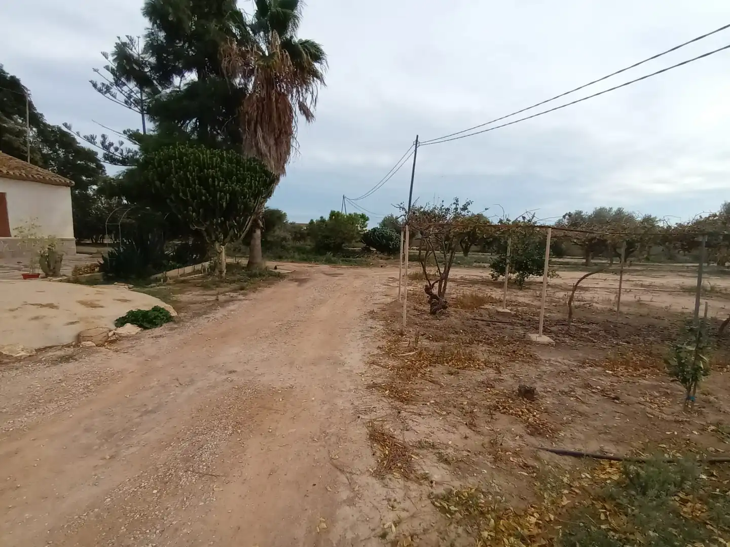 Houses for sale in Torre-Pacheco  with Storage room