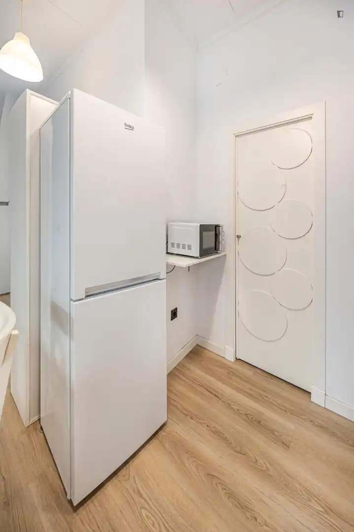 Cuina de Apartament de lloguer en Málaga amb Aire condicionat, Moblat i Forn