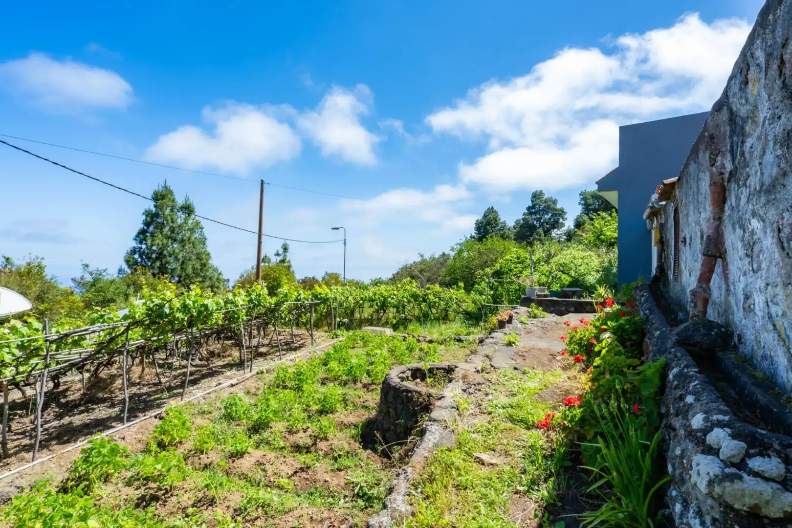 Casa rústica en venta en Icod de los Vinos pueblo, imagen 13