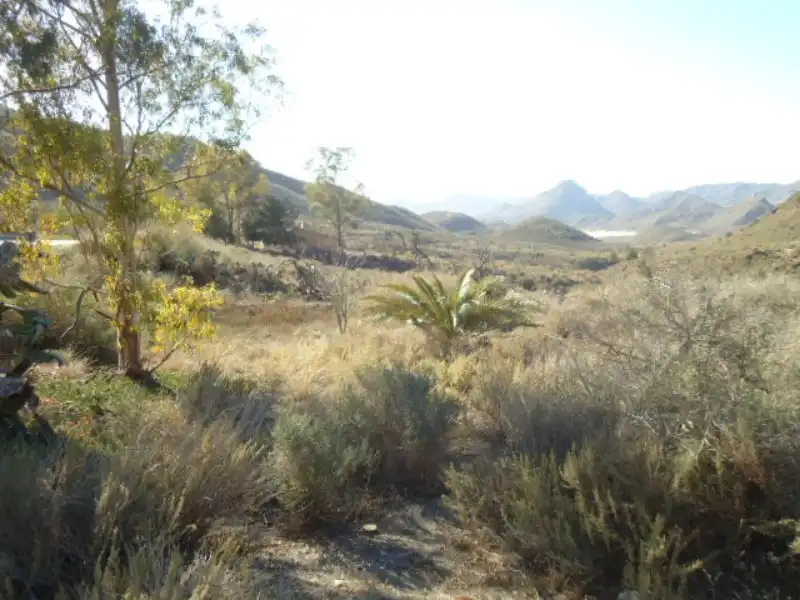 Terreny rústic en venda a Paraje Albozador, imagen 6