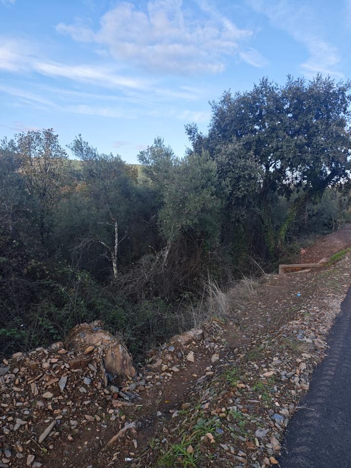 Residential for sale in Zarza de Granadilla