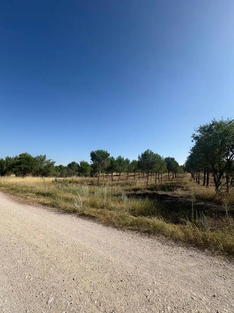 Terreno en venta en Cogeces del Monte