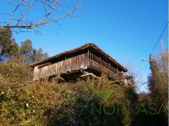 Vista exterior de Finca rústica en venta en Pravia