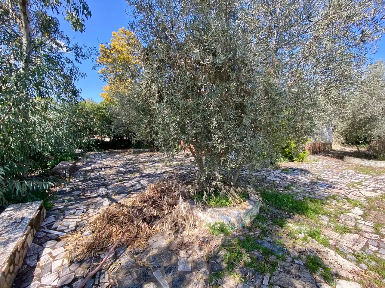 Villa con piscina in vendita a Avenida Yedra, imagen 16