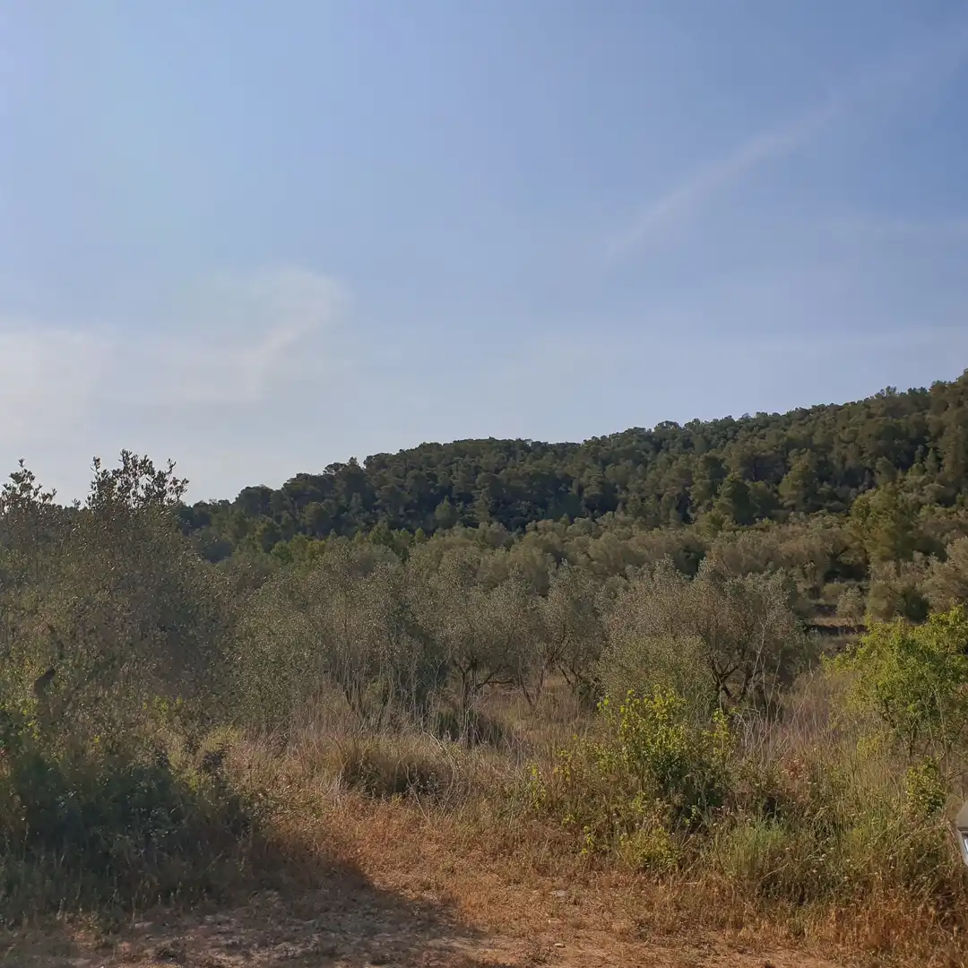 Rustikales Grundstück zum Verkauf in El Pinell de Brai, imagen 9