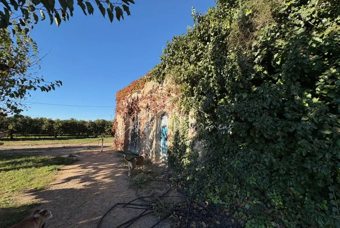 Country house for sale in Vinyols i els Arcs, imagen 2