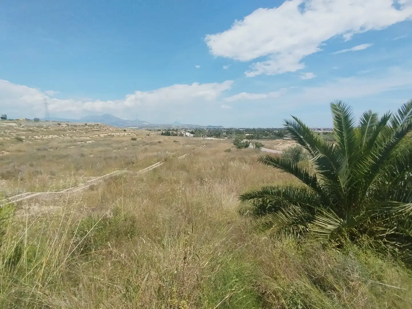 Terreno rústico en venta en Camí de la Esparraguera, imagen 2