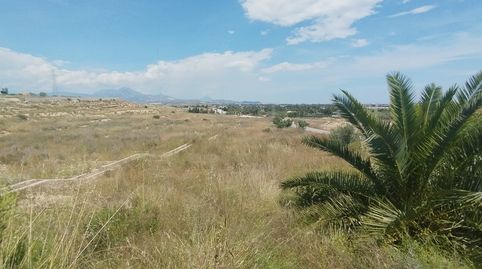 Terreno en Venta Mutxamel, imatge 2