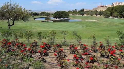 Foto 5 von Residential zum Verkauf in Molina de Segura - Calle Pepín Liria, 5, Altorreal - El Chorrico, Molina de Segura