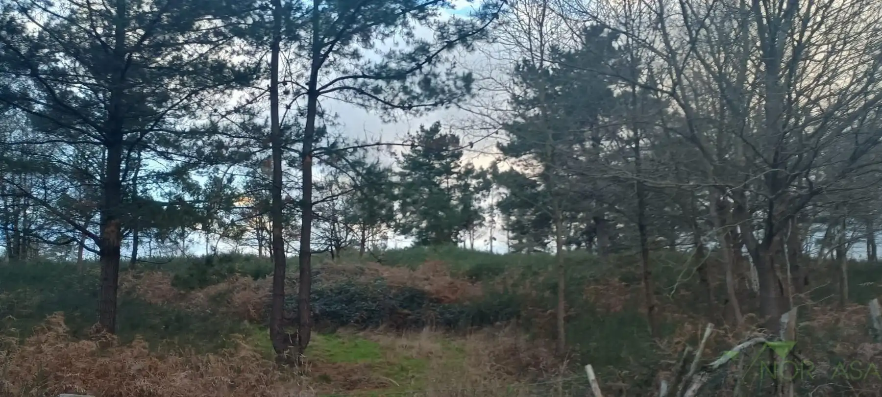 Terrenys i solars en venda a Posada de Llanera, imagen 5