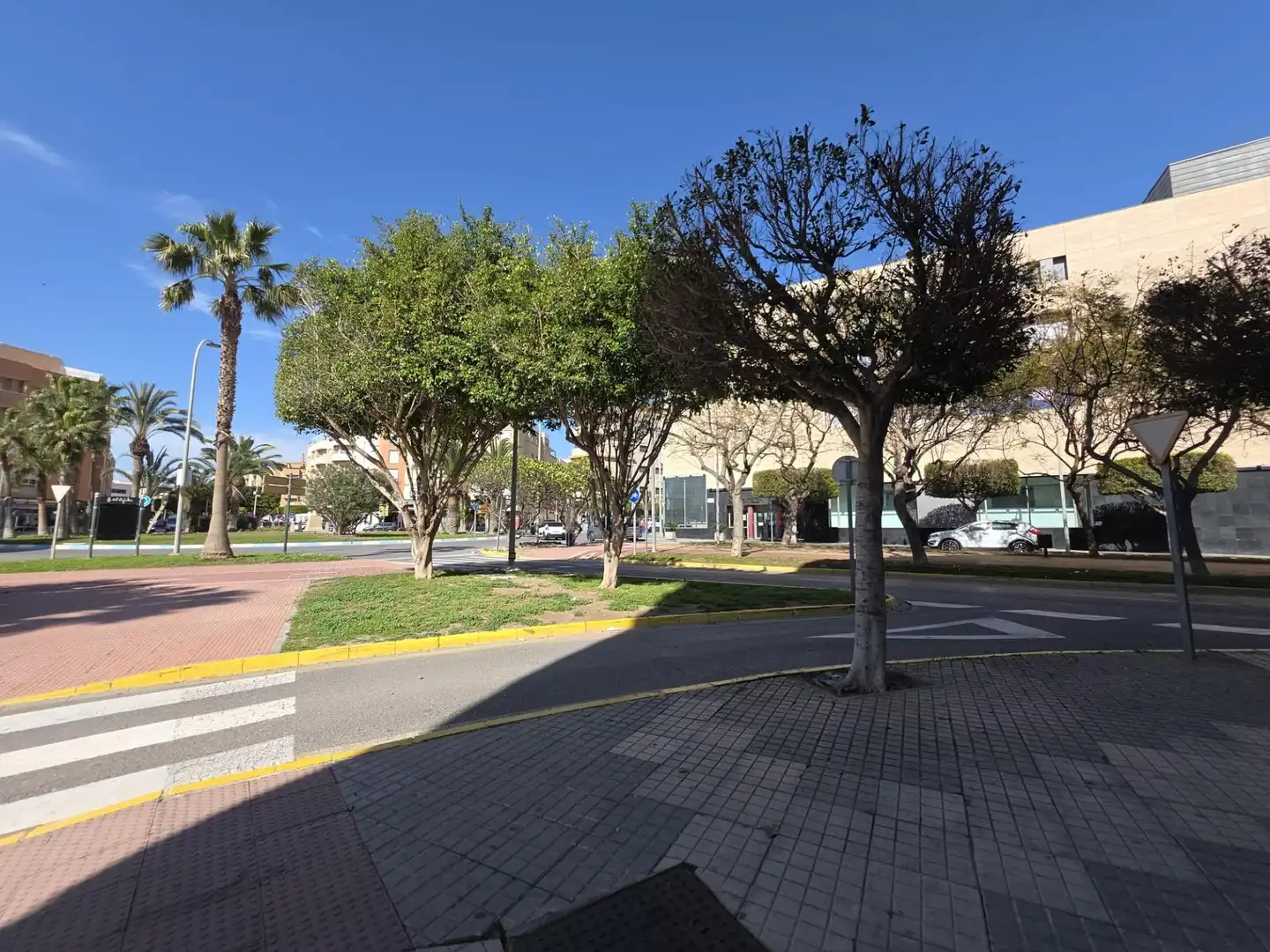 Exterior view of Office for sale in El Ejido