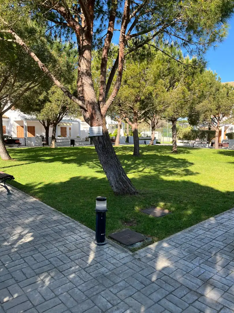 Apartamento de alquiler en Calle Salvador de Bahía, 6, La Barrosa