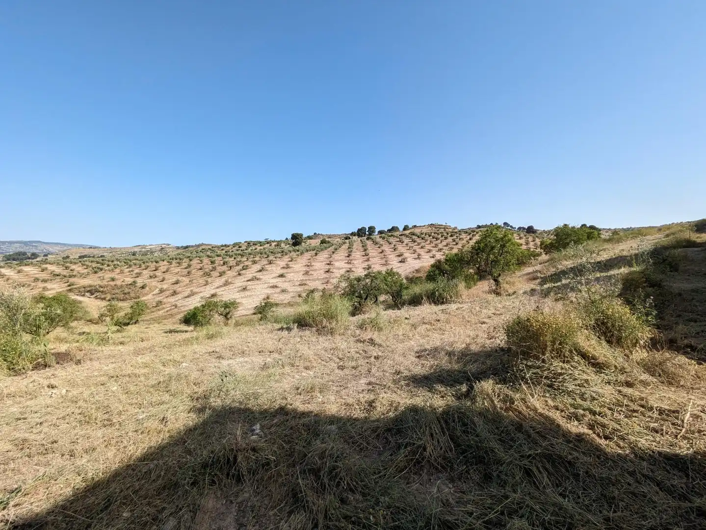 Residential land for sale in EXTRARRADIO, imagen 18