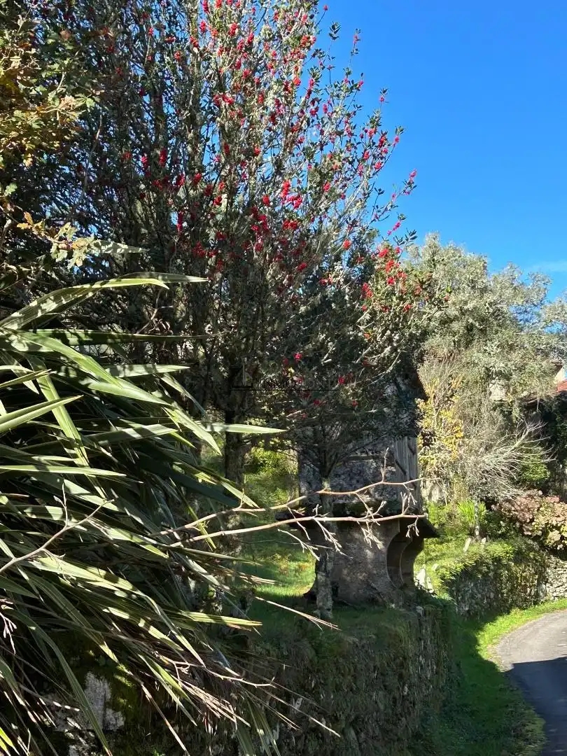 Jardí de Casa o xalet en venda en Cerdedo amb Jardí privat