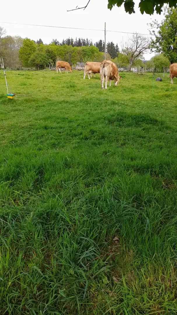 Finca rústica en venda en Friol