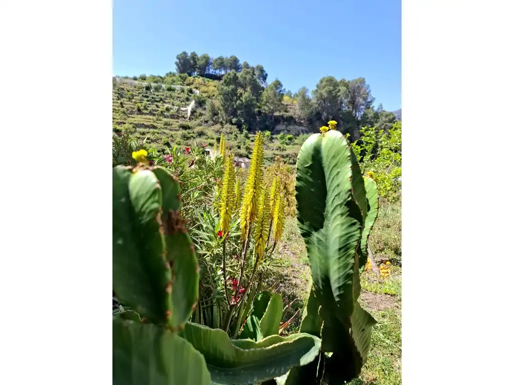 Jardín de Finca rústica en venta en Xirles
