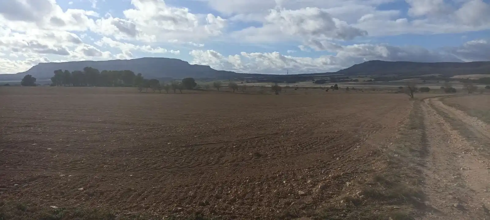 Terreny rústic en venda a Ayora, imagen 19