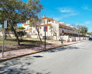 Vista exterior de Casa adosada de lloguer en Guardamar del Segura amb Terrassa i Balcó