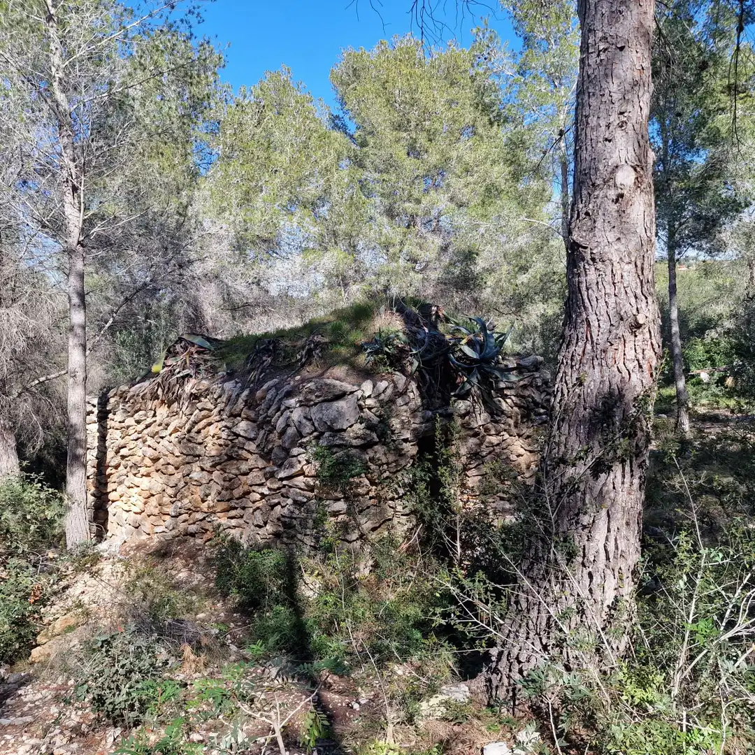 Terreno residencial en venta en Carrer Gessamí 18, imagen 2