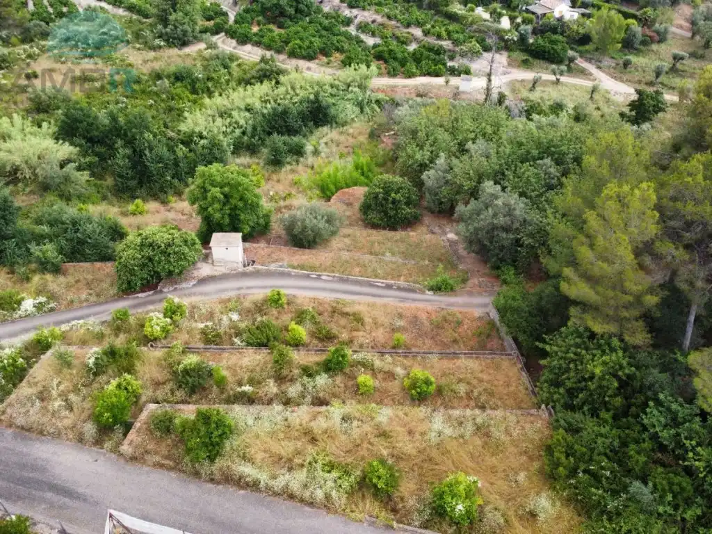 Rural land for sale in Partida Castello, imagen 5