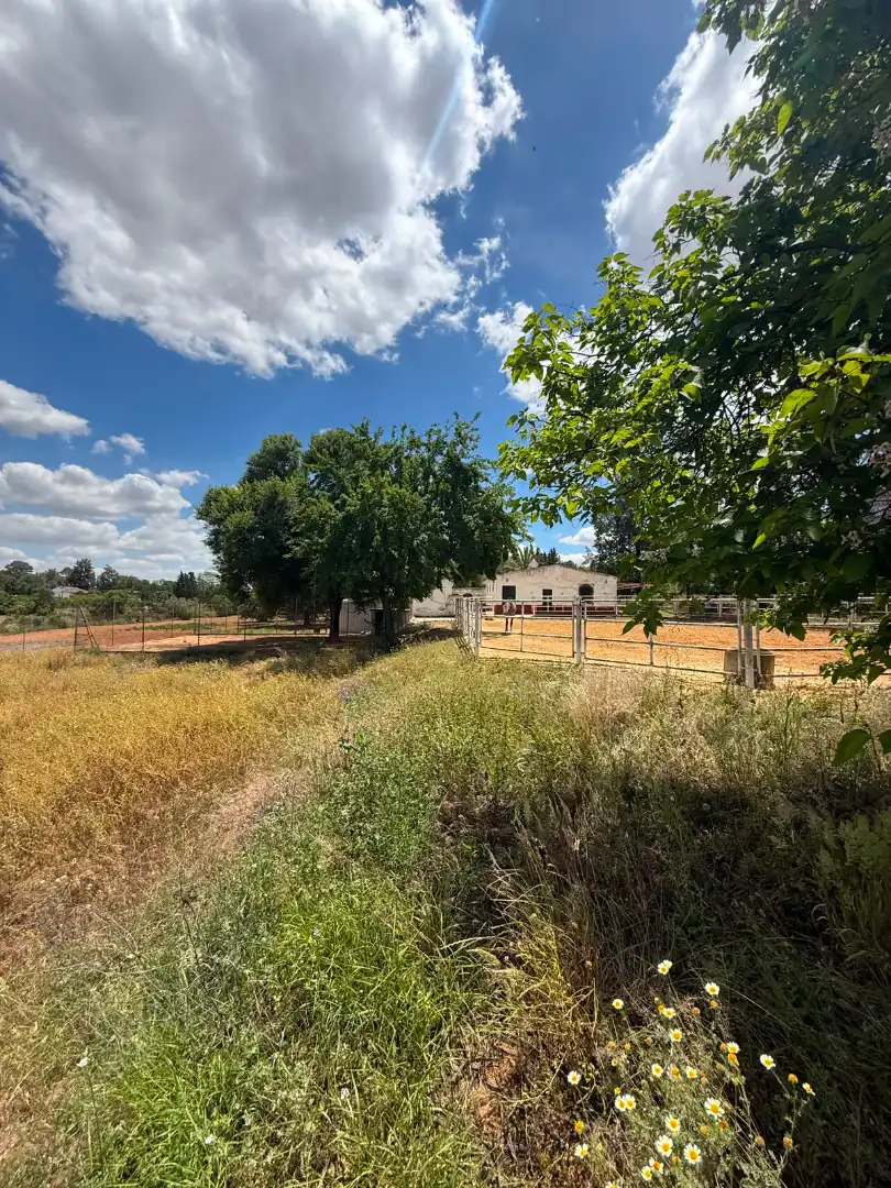 Chalet con piscina en venta en Carretera Olivares, imagen 35