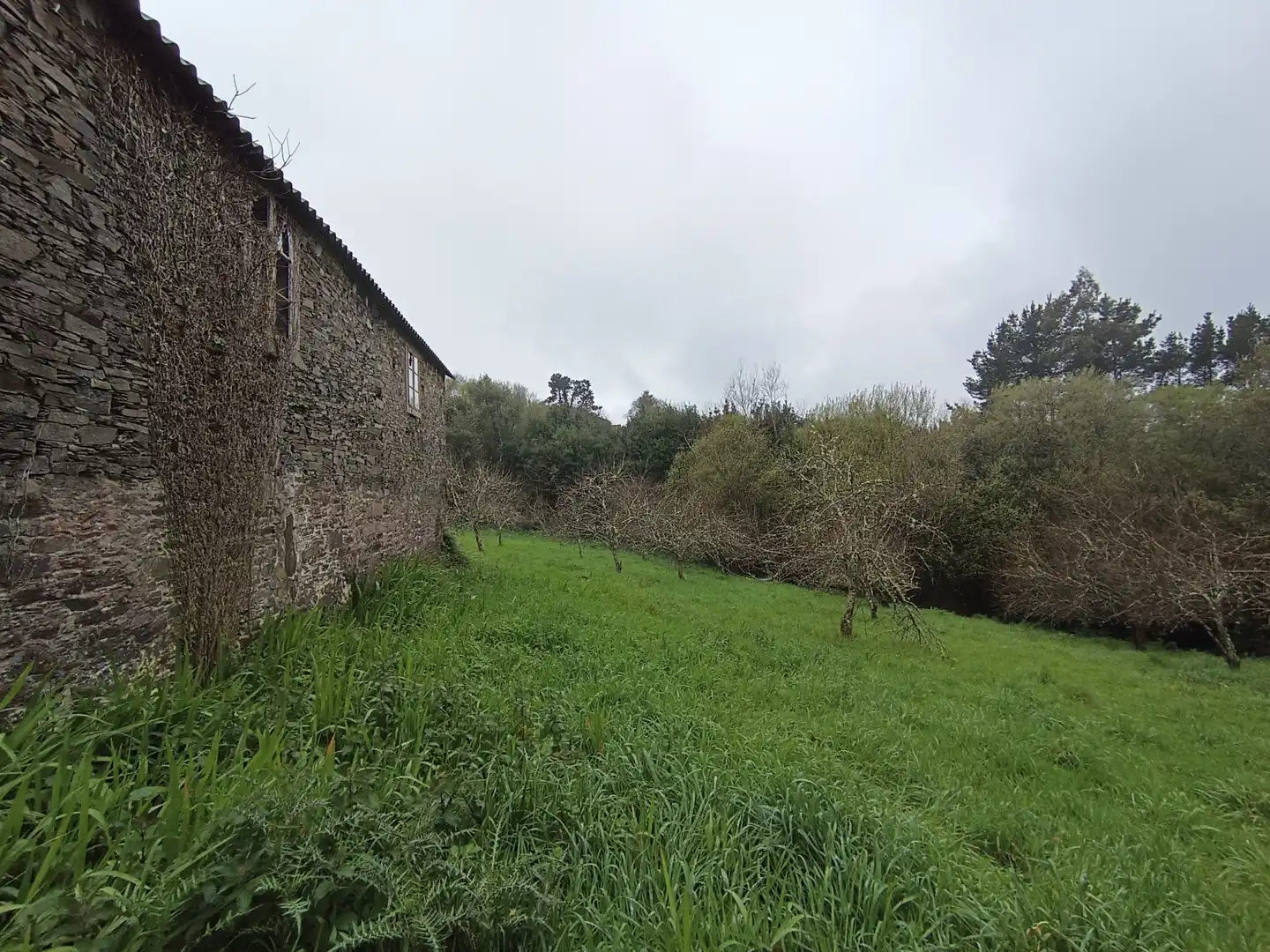 Country house zum Verkauf in Moeche