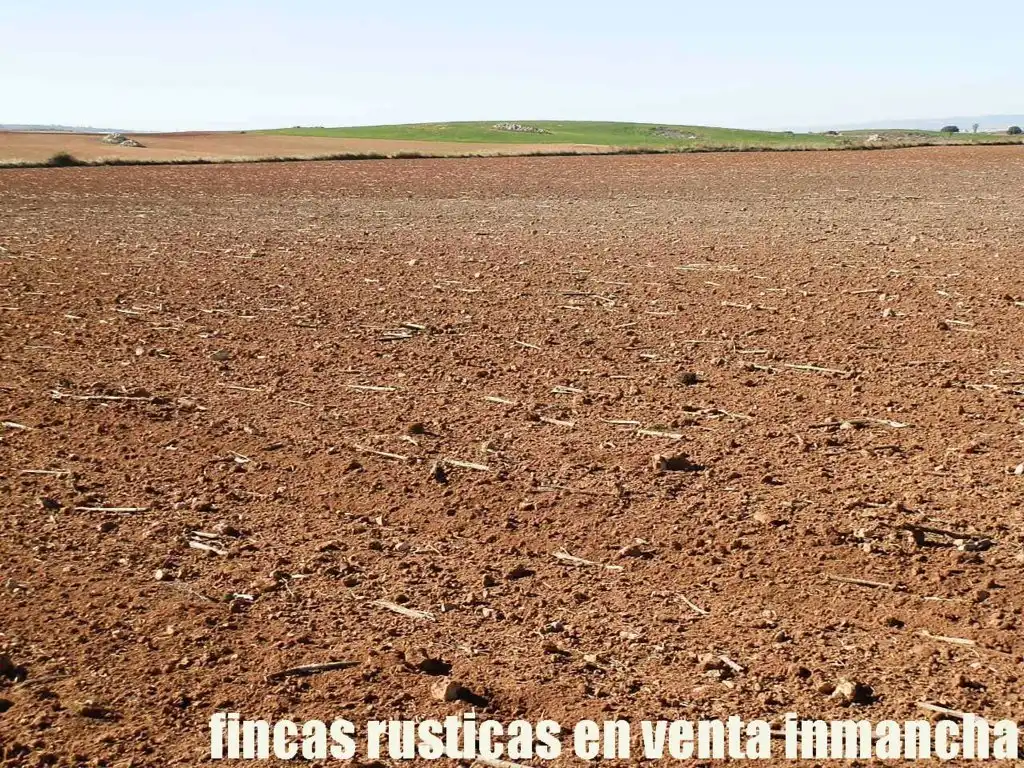 Terreni e lotti in vendita a Montalbo, imagen 27