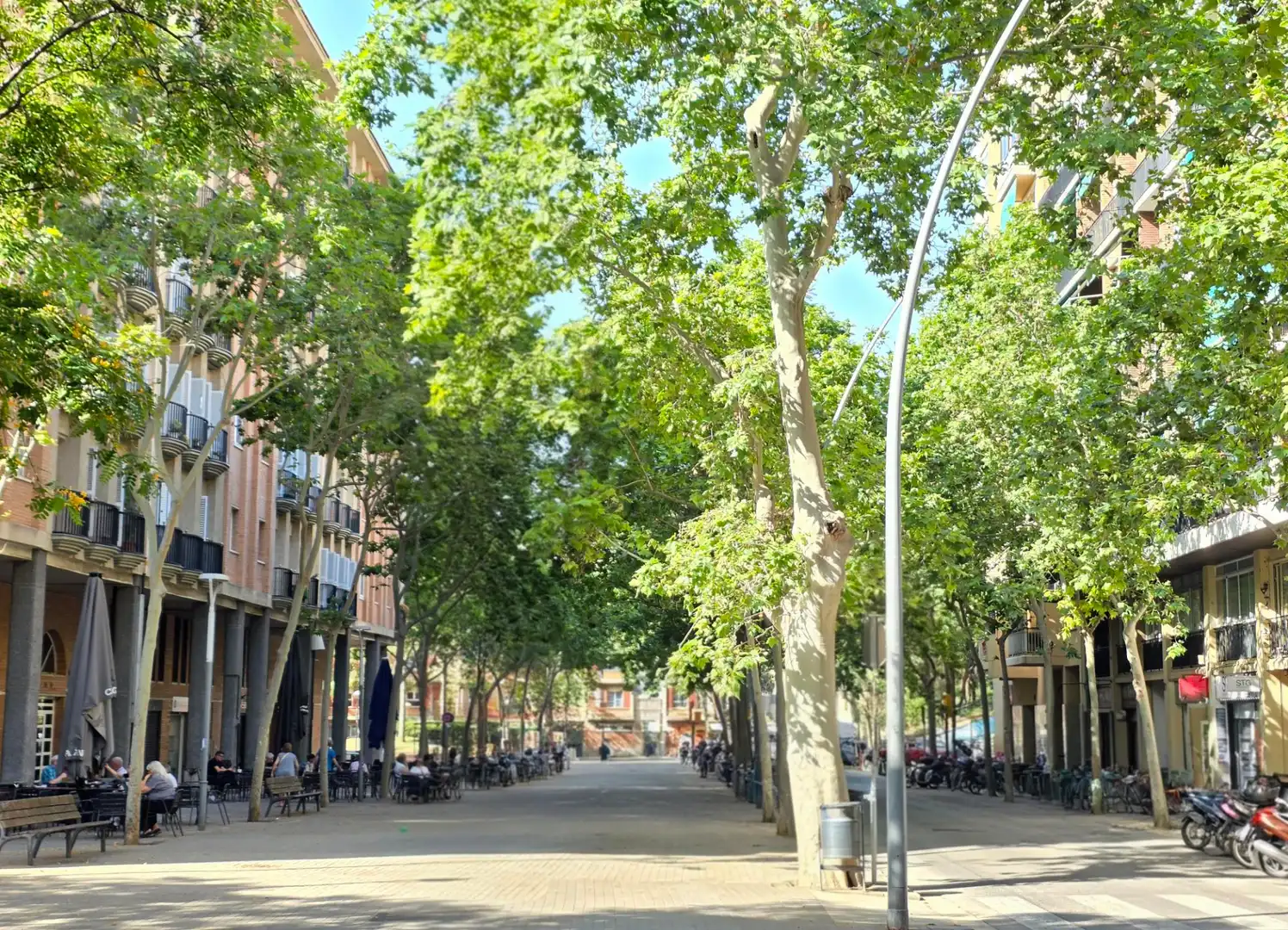 Local comercial en venda a Carrer de Bartrina, imagen 4