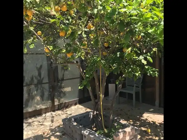 Maison avec jardin à vendre à Camí de les Villes, imagen 13