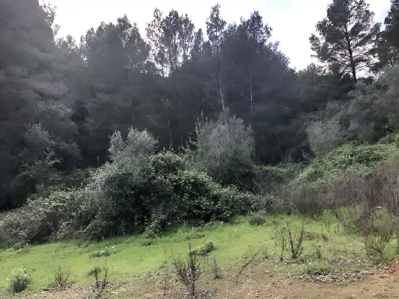 Residencial en venta en PARAJE EMBASTIDA O BASTIDA, Xàtiva
