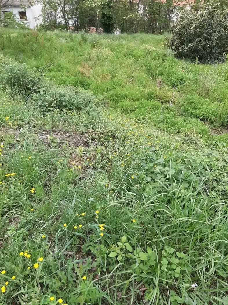 Wohnbaugrundstück zum Verkauf in Campins, imagen 7