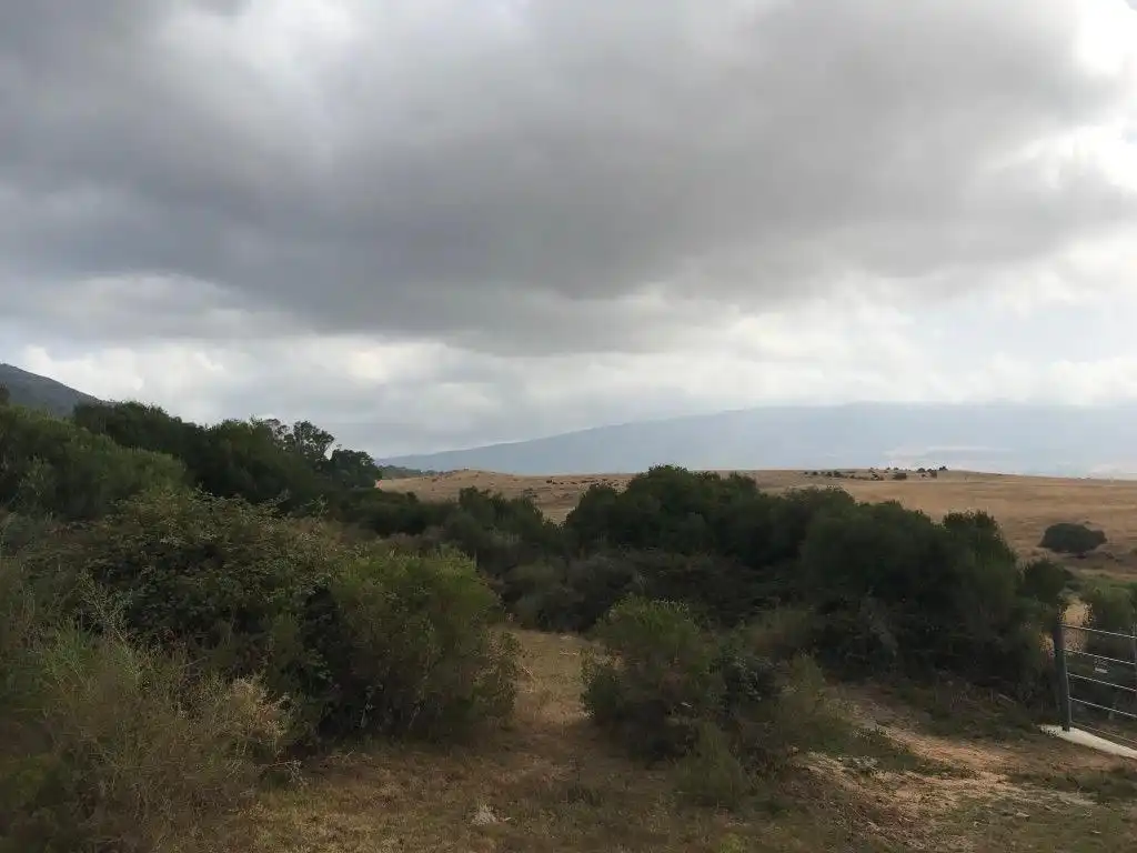 Terreno rustico in vendita a Tarifa ciudad, imagen 5