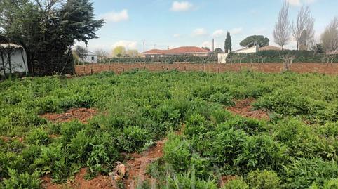 Photo 5 of Land for sale in La Poblechuela, Ciudad Real