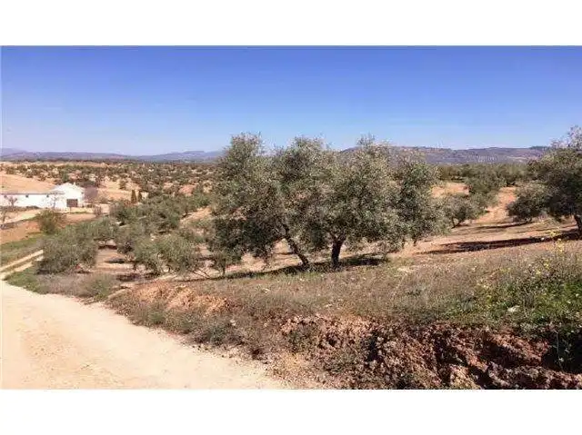 Terreni e lotti in vendita a Avenida Andalucía, imagen 3