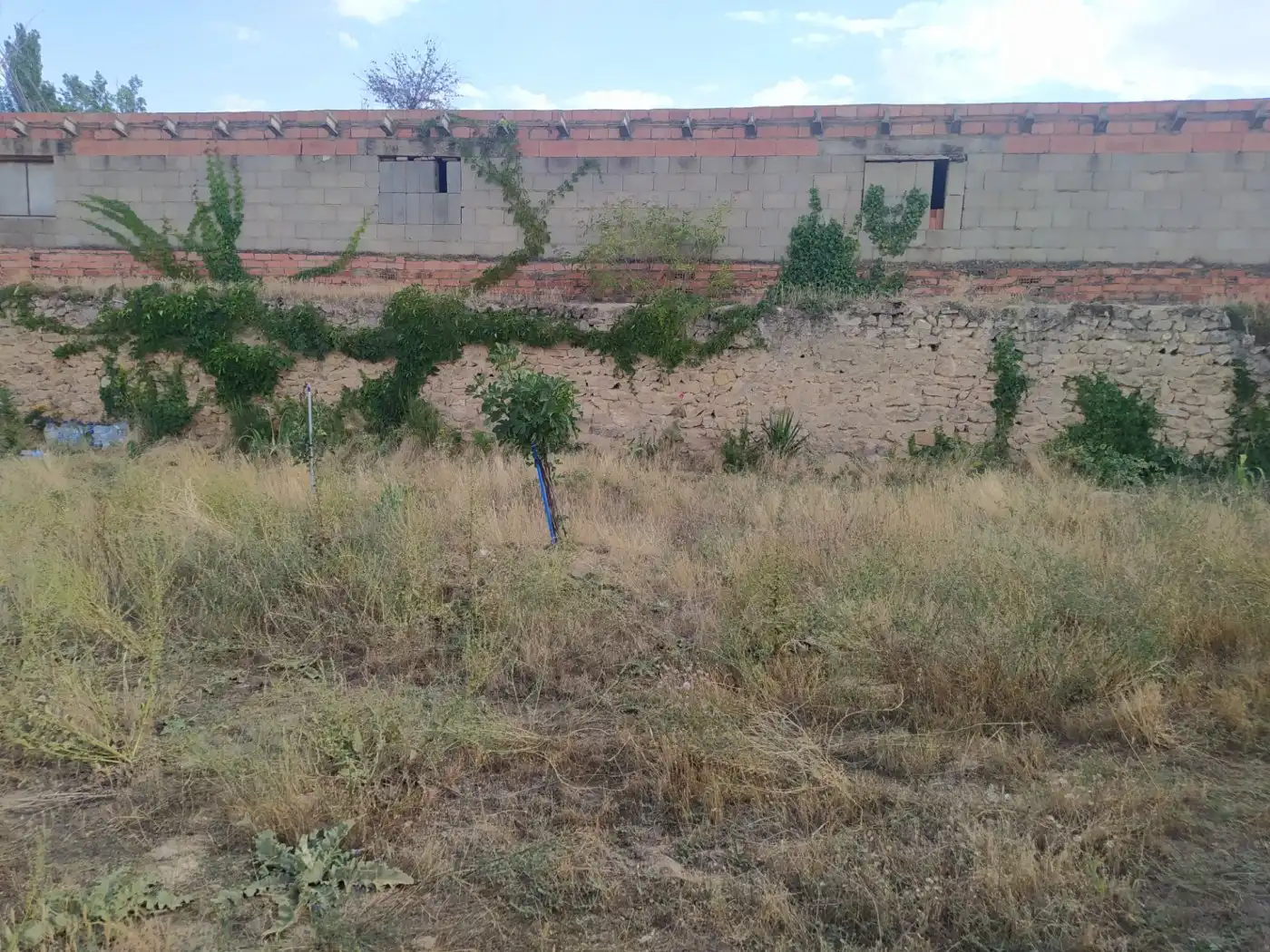 Terreni e lotti in vendita a Calamocha, imagen 5