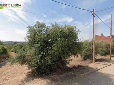 Terreno rustico in vendita a Puiggròs
