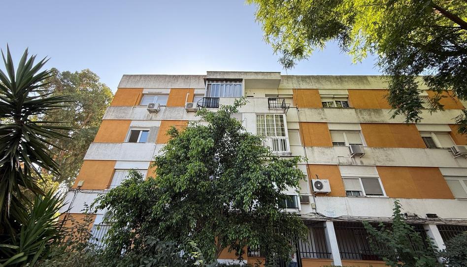 Photo 1 of Flat for sale in Ur. Nueva Bellavista, Bellavista, Sevilla