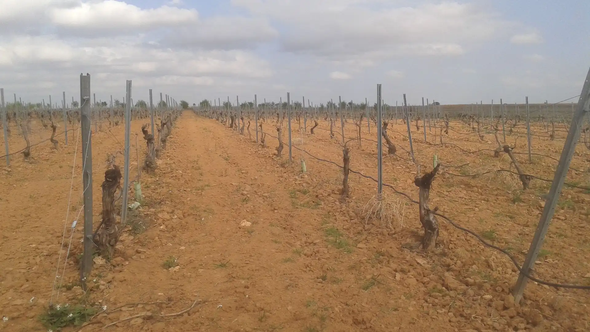 Terrenys i solars en venda a Las Mesas, imagen 11