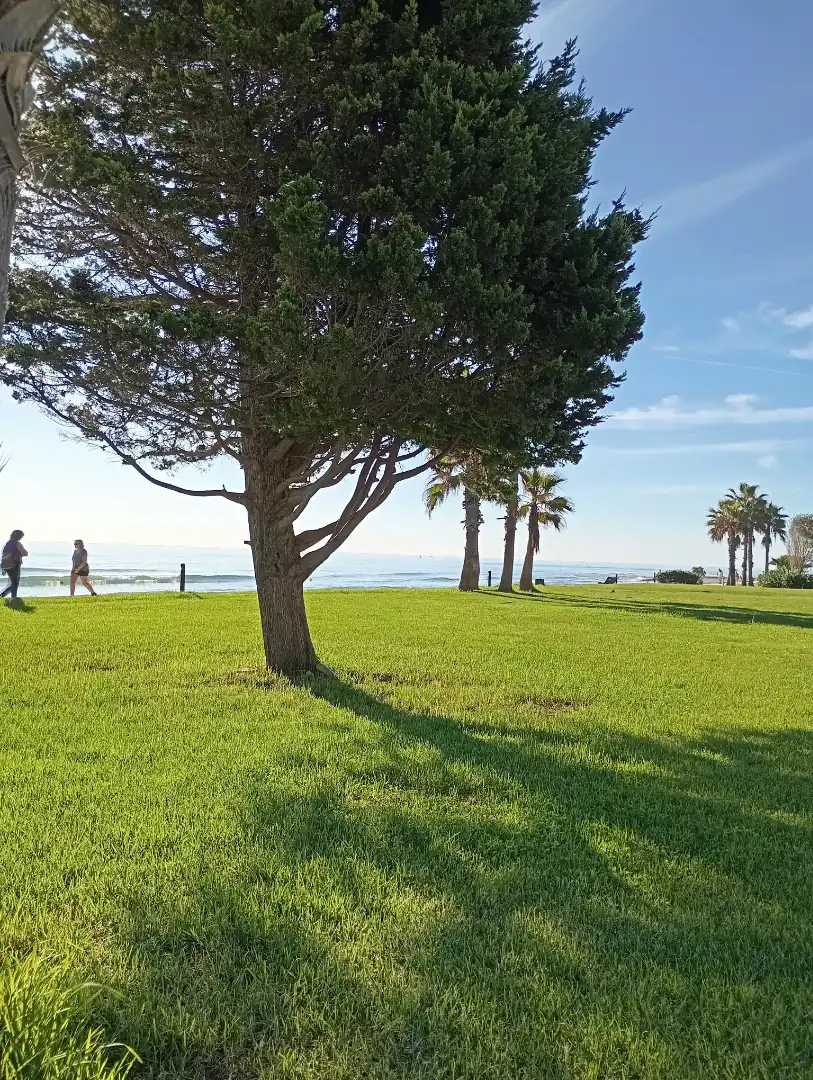 Vista exterior de Piso de alquiler en Oropesa del Mar / Orpesa con Terraza y Amueblado