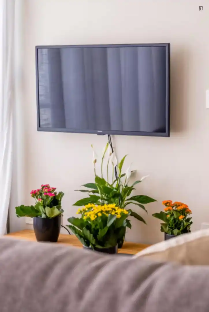 Garden of Study for rent in Málaga  with Air Conditioner, Furnished and Washing machine