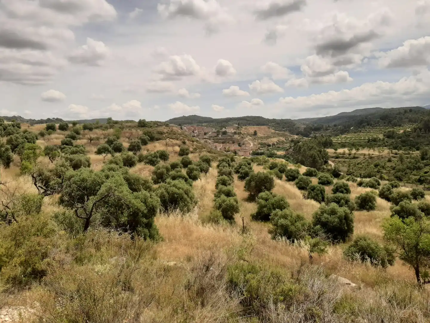 Casa adosada en venda en Cervià de Les Garrigues amb Jardí privat, Terrassa i Balcó