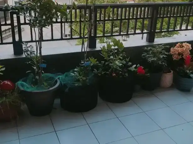 Terrace of Flat for sale in Irun 