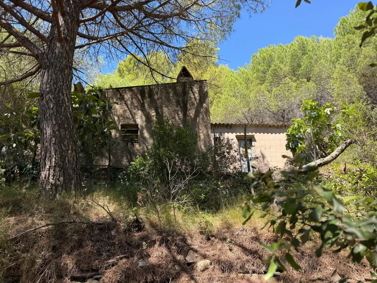 Country house with pool for sale in Cami de La Pedrera, imagen 5