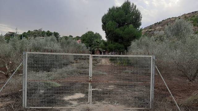 Finca rústica en Venta en Algezares