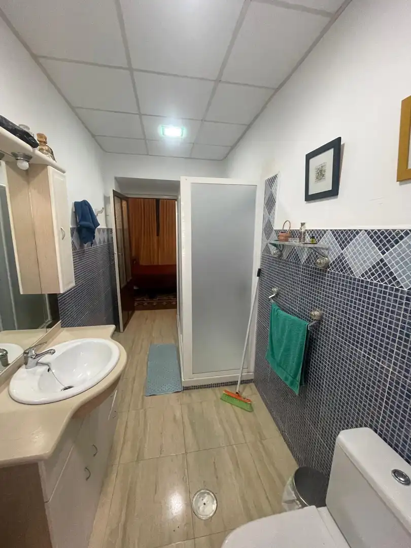 Baño de Casa o chalet en venta en Alcaudete con Jardín privado