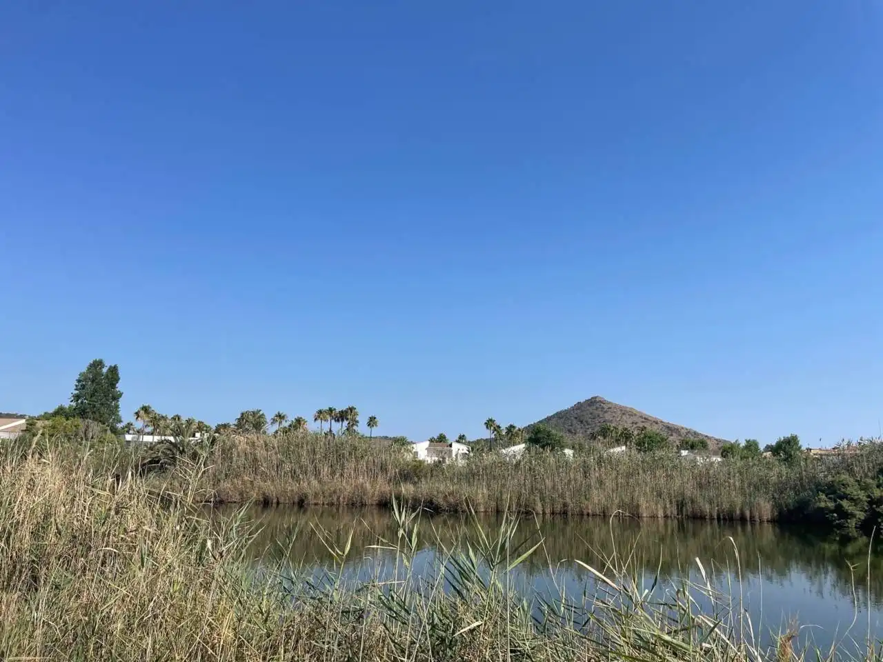 Terreny residencial en venda a Port d'Alcúdia - Platja d'Alcúdia, imagen 12